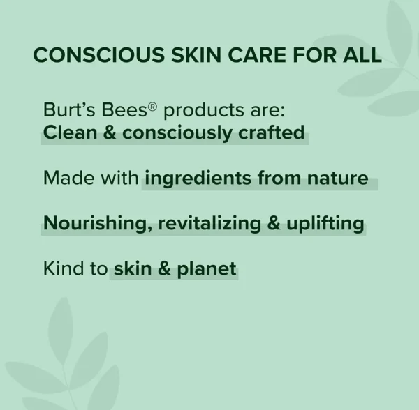 Burts Bees' Honey & Grapeseed Hand & Body Cream, 2.6 Oz