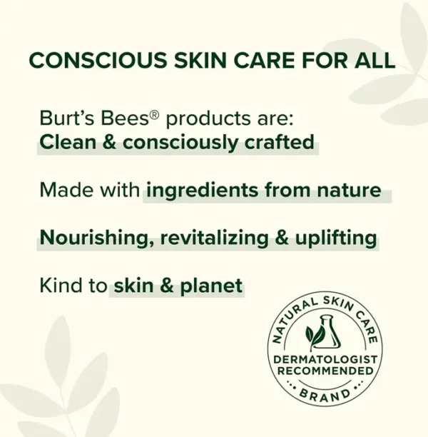 Burts Bees' Honey & Grapeseed Hand & Body Cream, 2.6 Oz