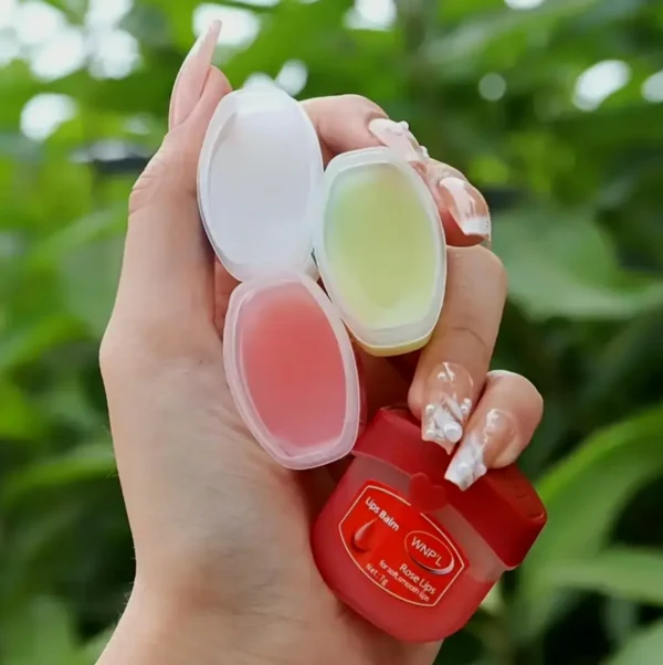 NJD Lip Care Collection, Moisturizer Pack (6 PCS)
