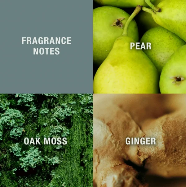 Crush Cologne Spray for Men, Casual Scent